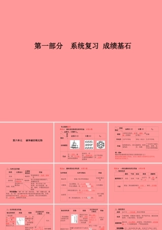 (临沂专版)中考化学总复习 第一部分 系统复习 成绩基石 第六单元 碳和碳的氧化物课件 新人教版 课件