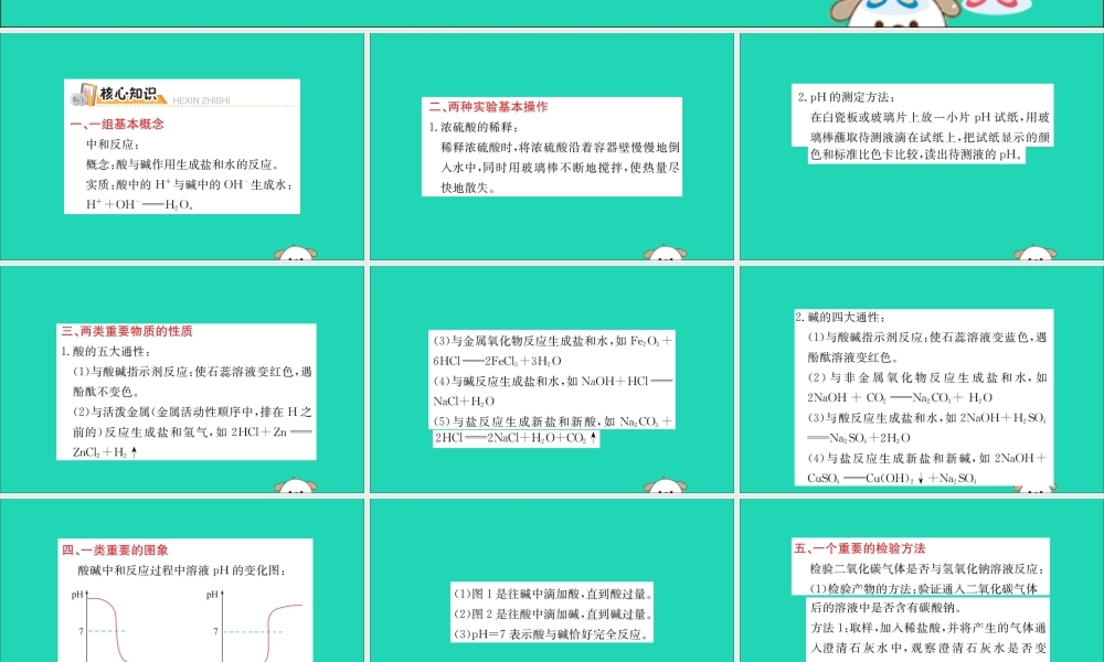 九年级化学下册 期末抢分必胜课 第十单元 酸和碱课件 (新版)新人教版 课件