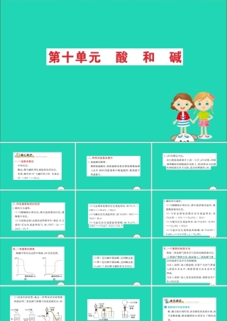 九年级化学下册 期末抢分必胜课 第十单元 酸和碱课件 (新版)新人教版 课件