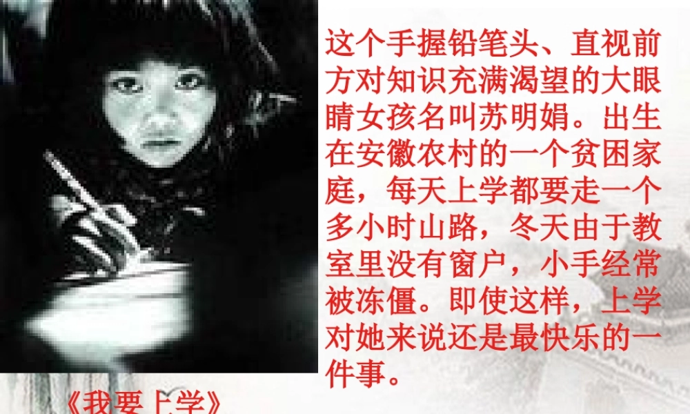 七年级政治上册 受教育—法律赋予的权利和义务课件 鲁教版 课件