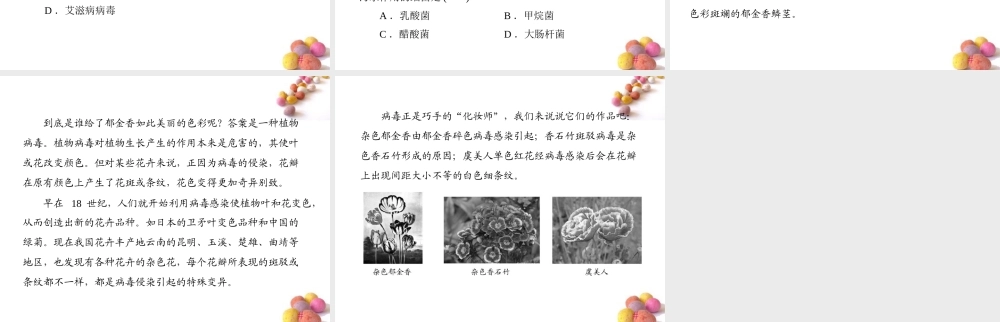 (随堂优化训练)八年级生物上册 第5单元 第18章 章末知识提升课件 北师大版 课件