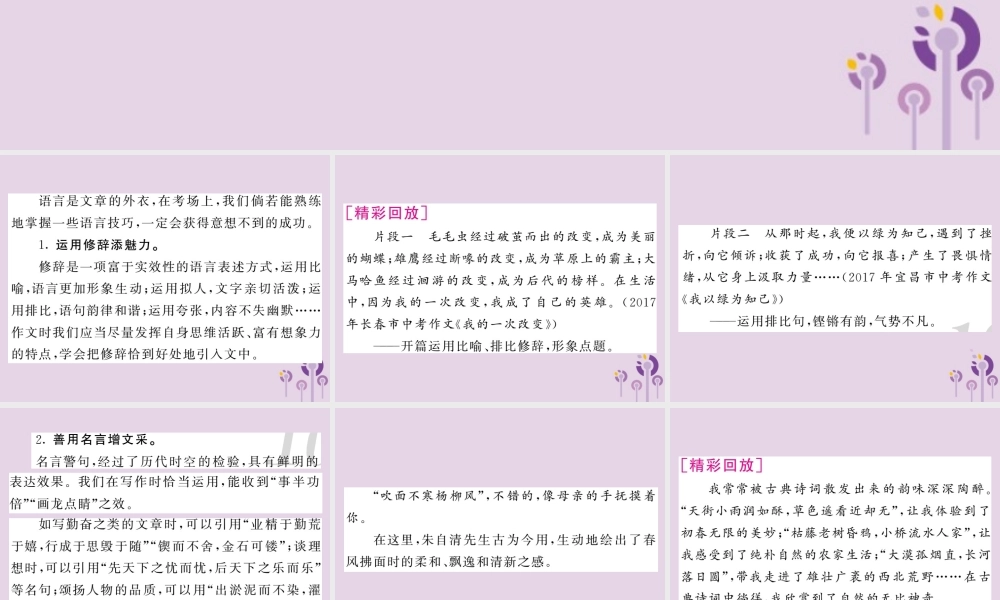 中考语文复习 第二轮 专题突破 第五部分 写作训练 第七讲 书写精美的语言课件 新人教版 课件