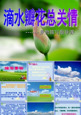 中考语文作文训练指导课件 景物描写指导课 课件