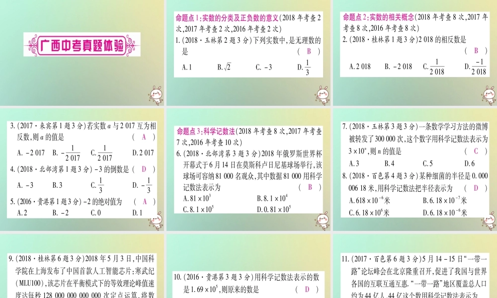 中考数学精选准点备考复习 第一轮 考点系统复习 第1章 数与式 第1节 实数 课时1 实数的有关概念课件 新人教版 课件