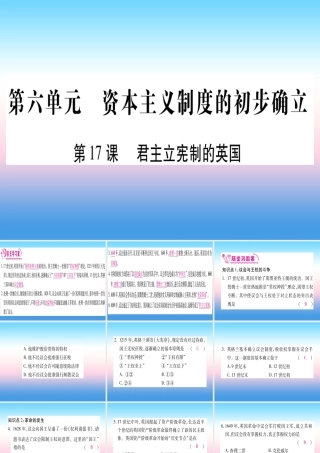 九年级历史上册 第6单元 资本主义制度的初步确立 第17课 君主立宪制的英国习题课件 新人教版 课件
