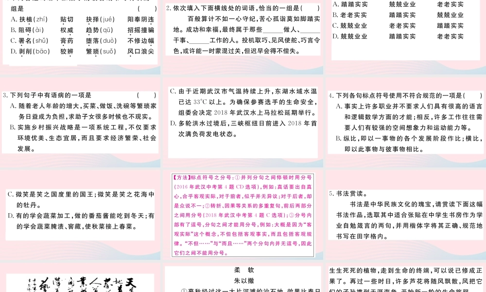 (武汉专版)八年级语文下册 第四单元 15 我一生中的重要抉择习题课件 新人教版 课件