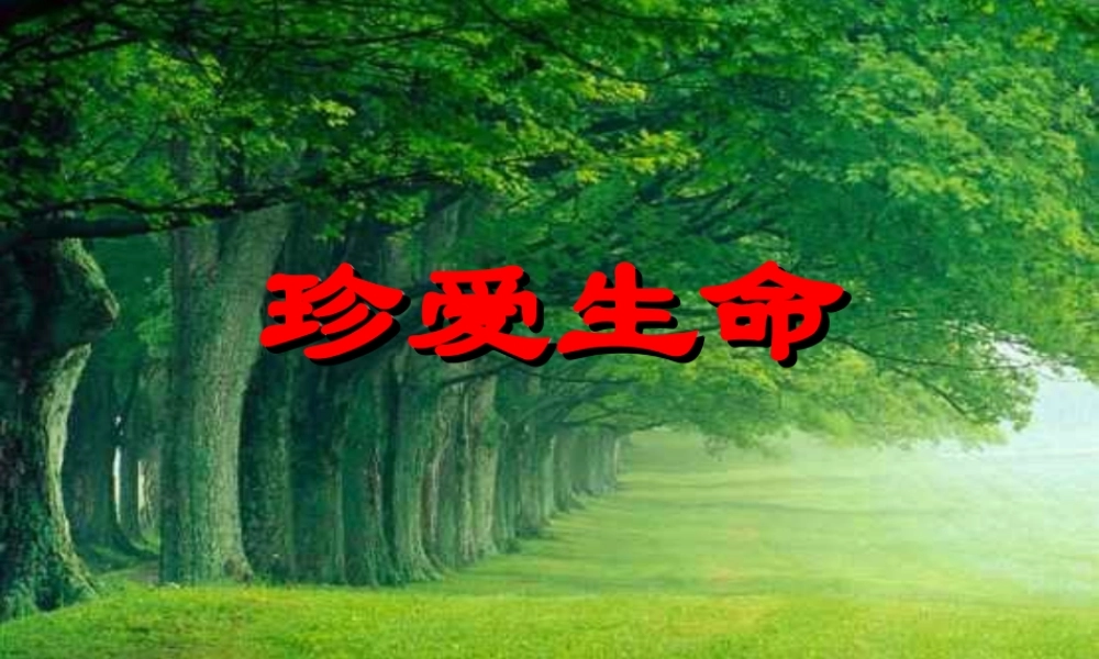 七年级政治上册 2.3 珍爱生命课件 新人教版 课件