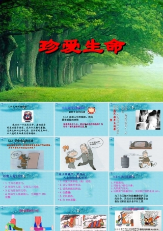 七年级政治上册 2.3 珍爱生命课件 新人教版 课件