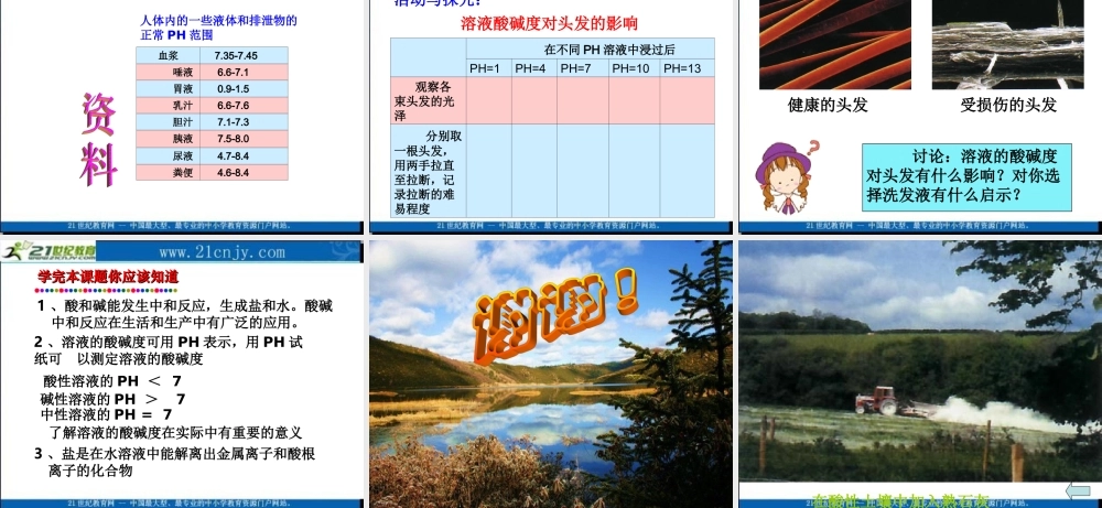 九年级化学酸和碱之间会发生什么反应课件人教版 课件