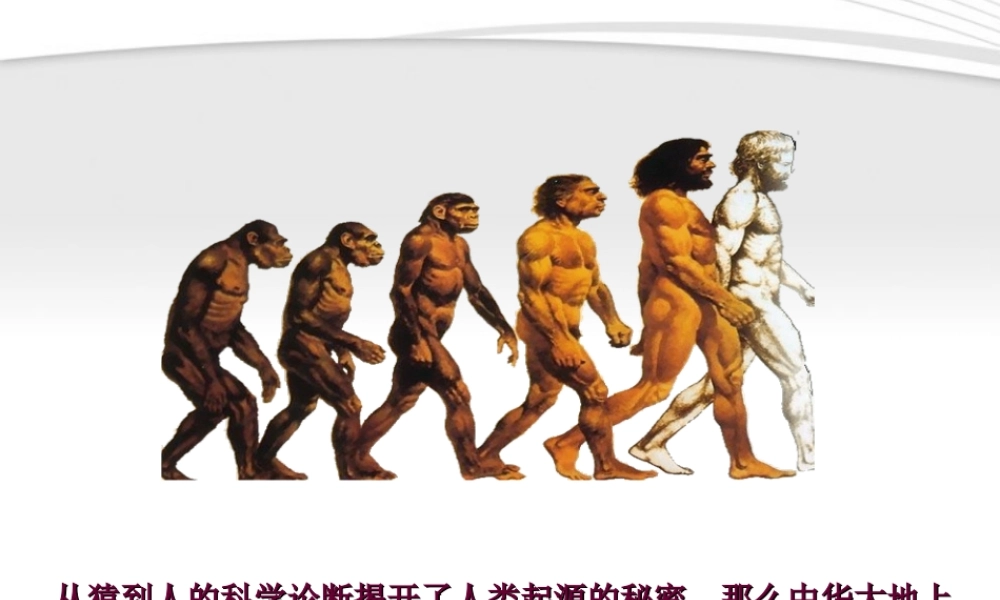 七年级历史上册 第一课 中国境内的早期人类课件  川教版 课件