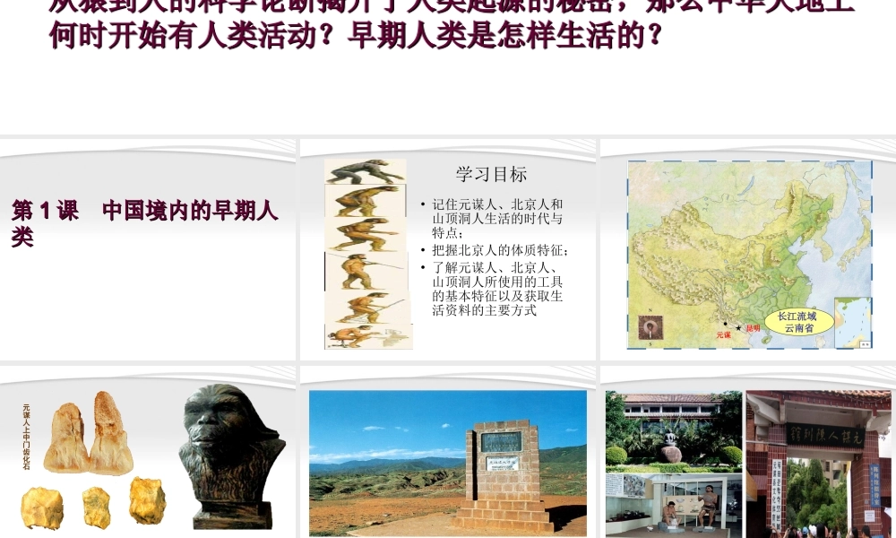 七年级历史上册 第一课 中国境内的早期人类课件  川教版 课件