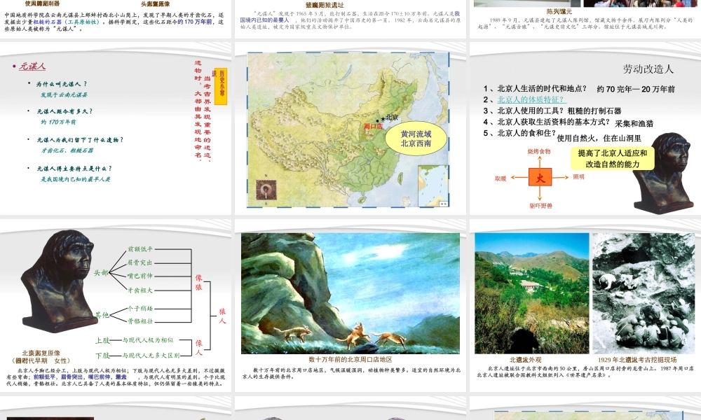 七年级历史上册 第一课 中国境内的早期人类课件  川教版 课件