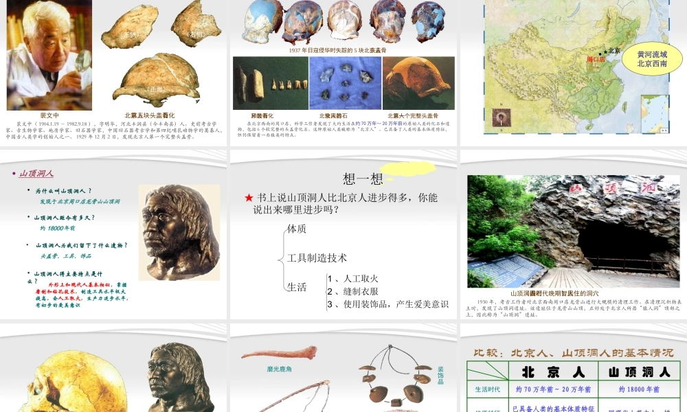 七年级历史上册 第一课 中国境内的早期人类课件  川教版 课件