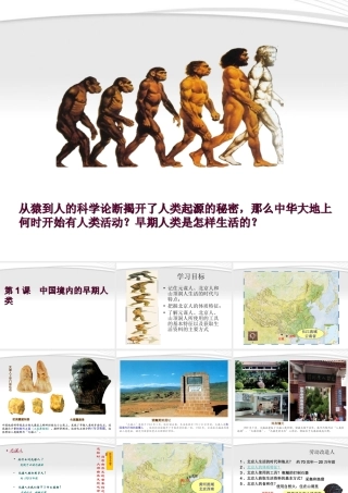 七年级历史上册 第一课 中国境内的早期人类课件  川教版 课件