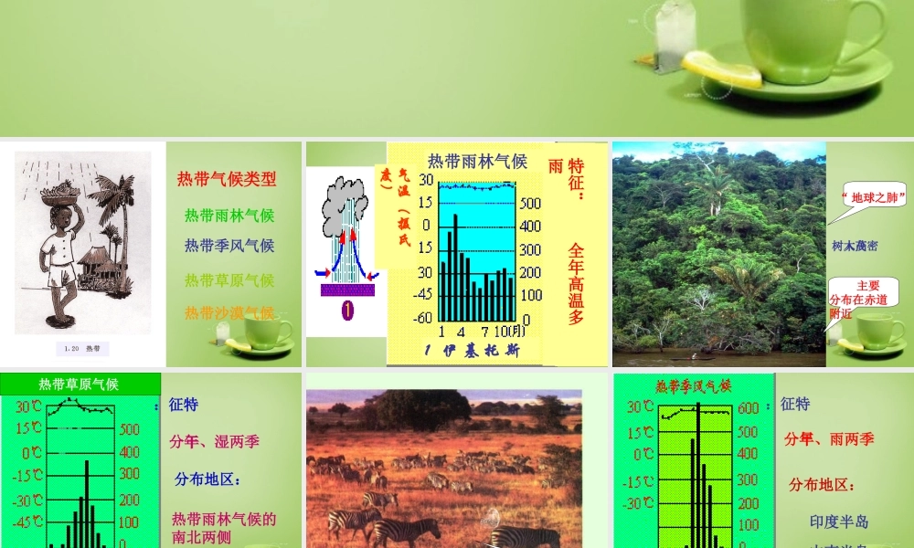 七年级地理上册 4.4 世界主要气候类型课件2 湘教版 课件