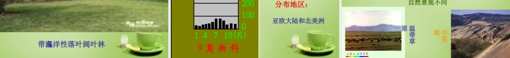 七年级地理上册 4.4 世界主要气候类型课件2 湘教版 课件