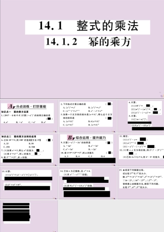 (通用)秋八年级数学上册 14.1 整式的乘法 14.1.2 幂的乘方习题讲评课件 (新版)新人教版 课件