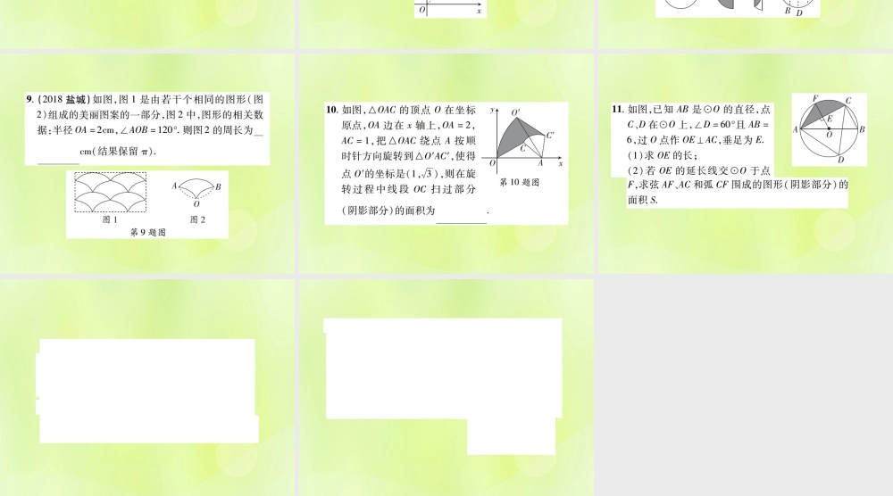 中考数学总复习 第六单元 圆 第24课时 与圆有关的计算(高效集训本)课件