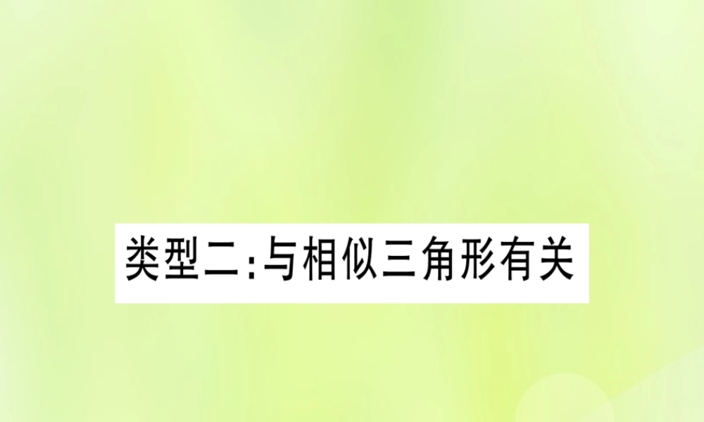 (湖北专用版)版中考数学总复习 第二轮 专项突破7 圆中证明与计算 类型2 与相似三角形有关实用课件