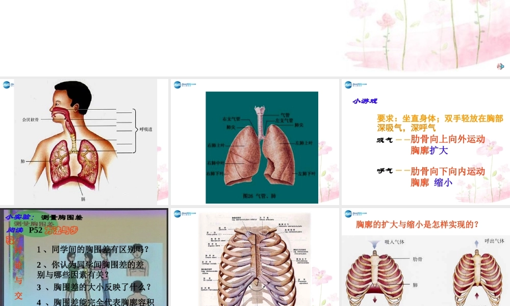 中学七年级生物下册 第三章 第二节 发生在肺内的气体交换课件 (新版)新人教版 课件