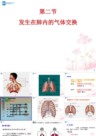 中学七年级生物下册 第三章 第二节 发生在肺内的气体交换课件 (新版)新人教版 课件