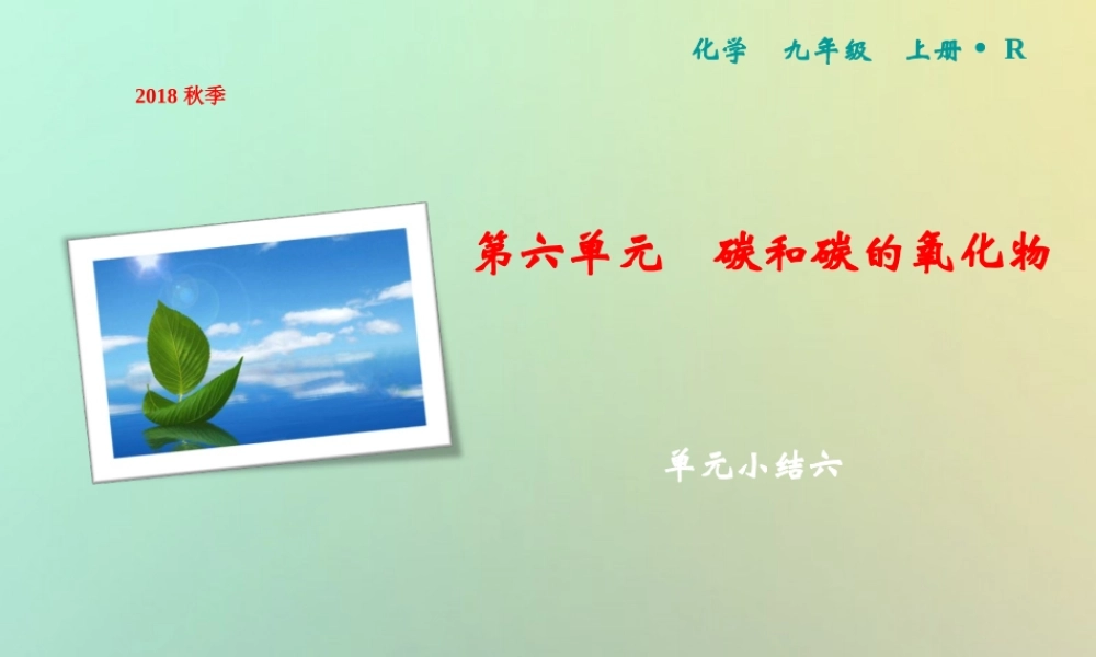 九年级化学上册 第6单元 碳和碳的氧化物单元小结六作业课件 (新版)新人教版 课件