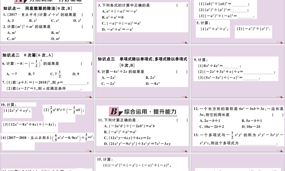 (河北专版)八年级数学上册 14.1 整式的乘法 14.1.4 第3课时 整式的除法习题课件 (新版)新人教版 课件