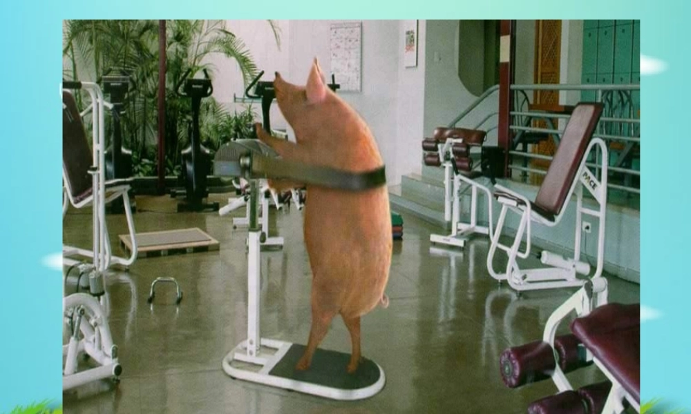 中考语文作文训练指导课件 作文拟题 课件