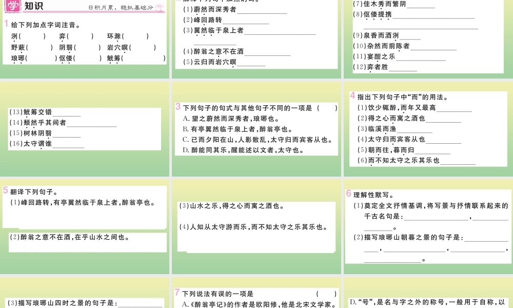 (黄冈专版)九年级语文上册 第三单元 11 醉翁亭记作业课件 新人教版 课件