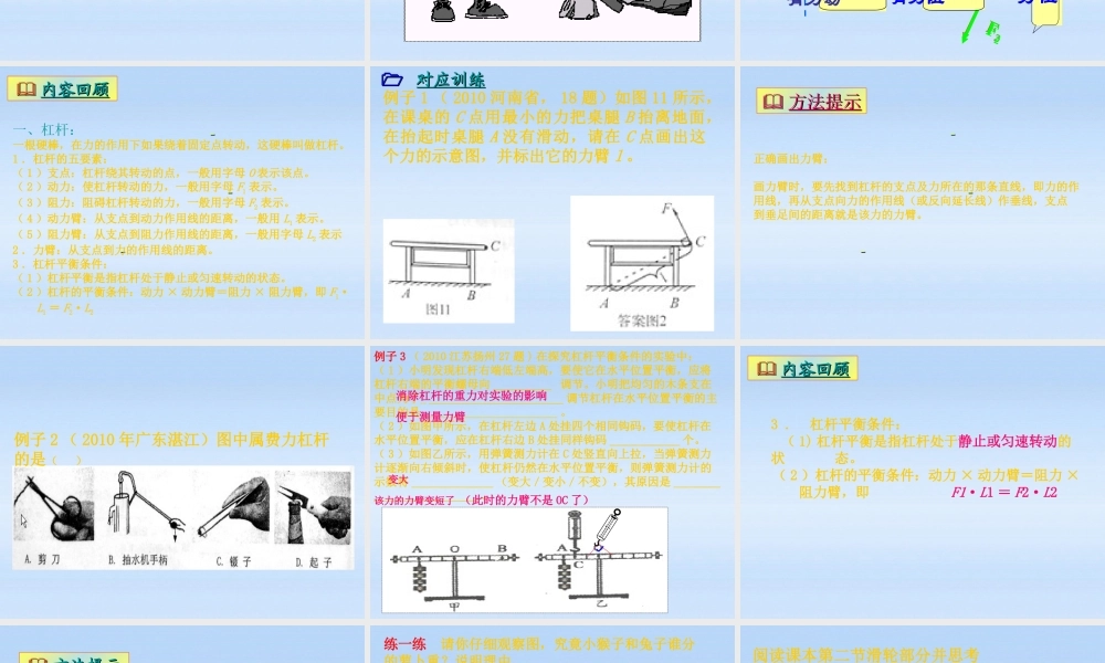 中考物理 考点复习之简单机械课件