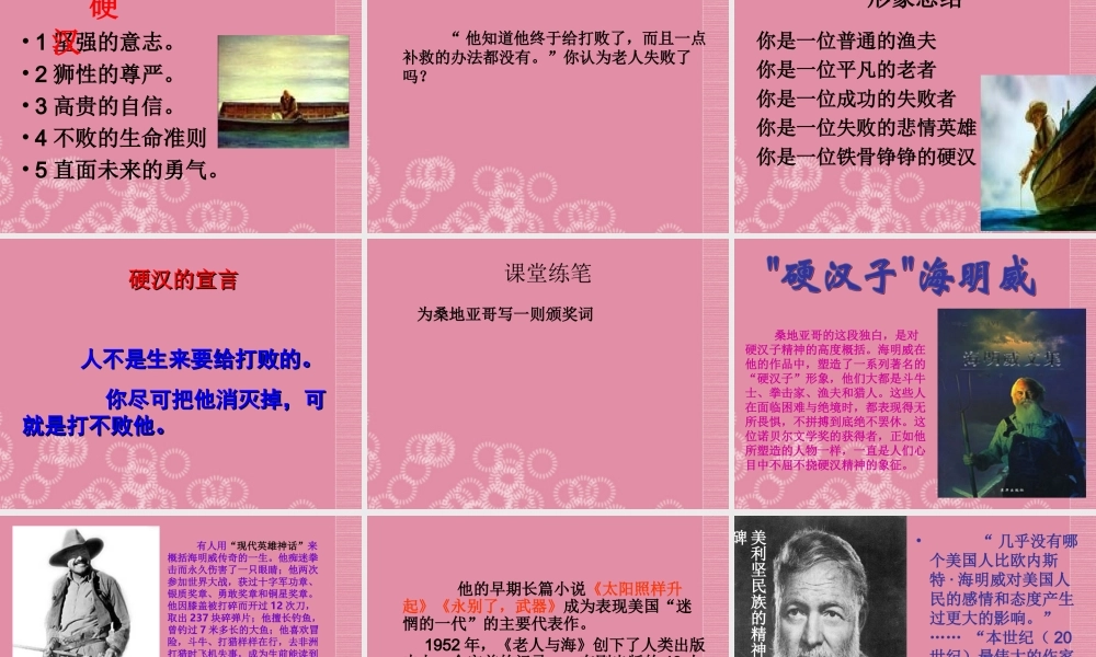 中考语文 老人与海复习课件 新人教版 课件