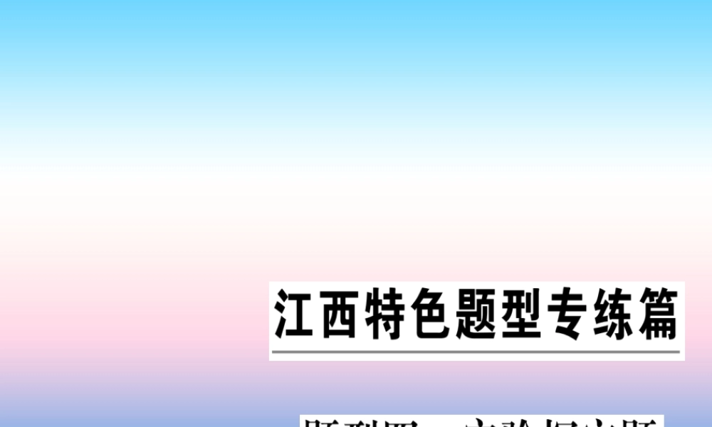 九年级化学下册 特色题型专练篇 题型四 实验探究题习题课件 (新版)新人教版 课件