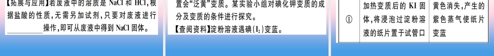九年级化学下册 特色题型专练篇 题型四 实验探究题习题课件 (新版)新人教版 课件