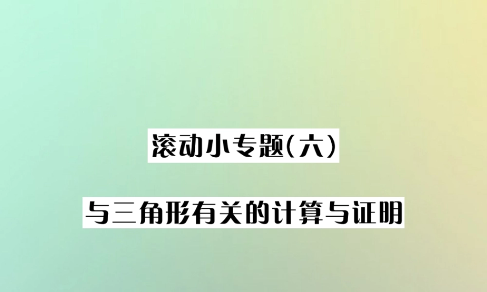 中考数学系统复习 第四单元 图形的初步认识与三角形 滚动小专题(六)与三角形有关的计算与证明课件