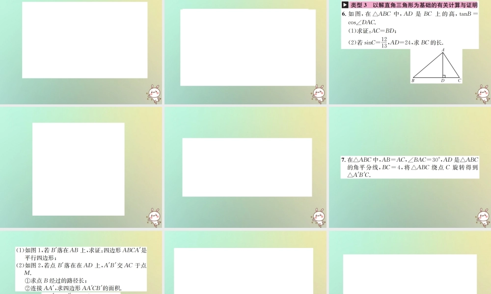 中考数学系统复习 第四单元 图形的初步认识与三角形 滚动小专题(六)与三角形有关的计算与证明课件