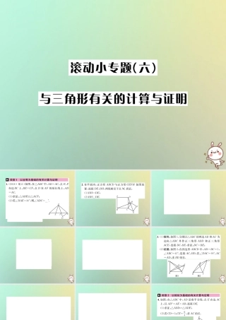 中考数学系统复习 第四单元 图形的初步认识与三角形 滚动小专题(六)与三角形有关的计算与证明课件