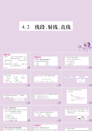 七年级数学上册 第4章 直线与角 4.2 线段、射线、直线课件 (新版)沪科版 课件