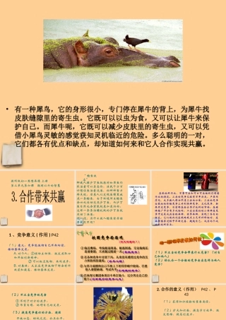 七年级政治 第六课合作带来共赢课件 教科版 课件
