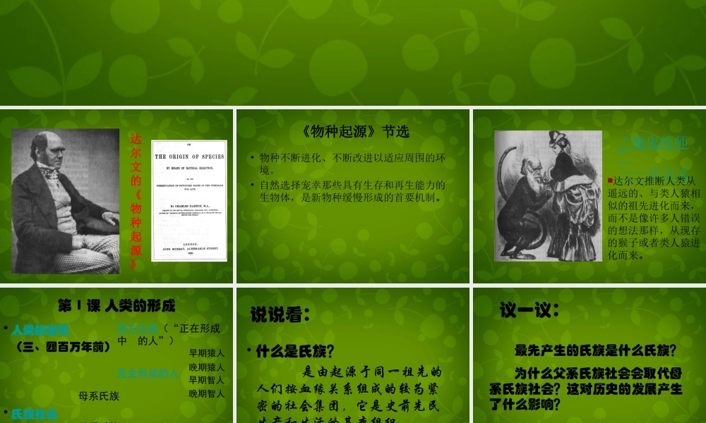 九年级历史上册 第1课(人类的形成)课件 新人教版 课件