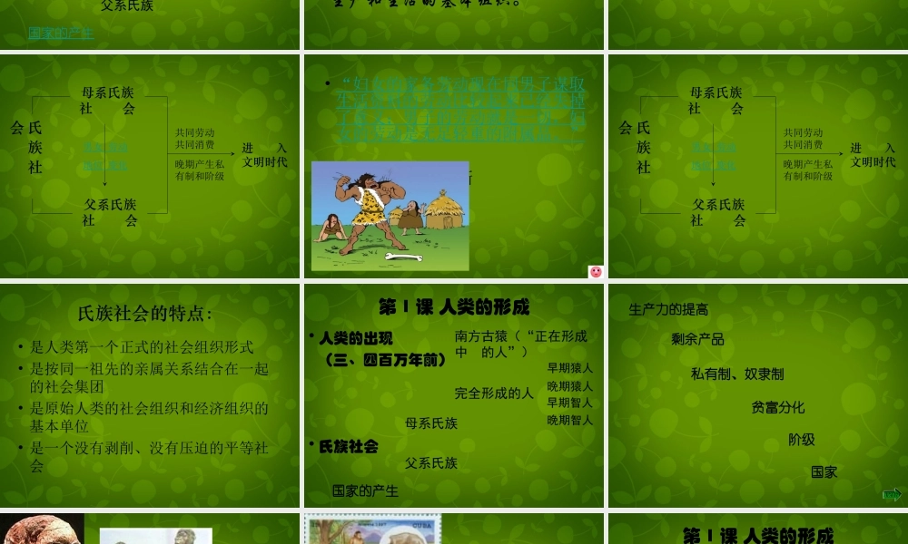 九年级历史上册 第1课(人类的形成)课件 新人教版 课件