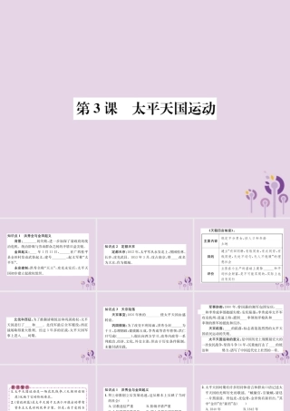 (河南专版)八年级历史上册 第一单元 中国开始沦为半殖民地半封建社会 第3课 太平天国运动课件 新人教版 课件