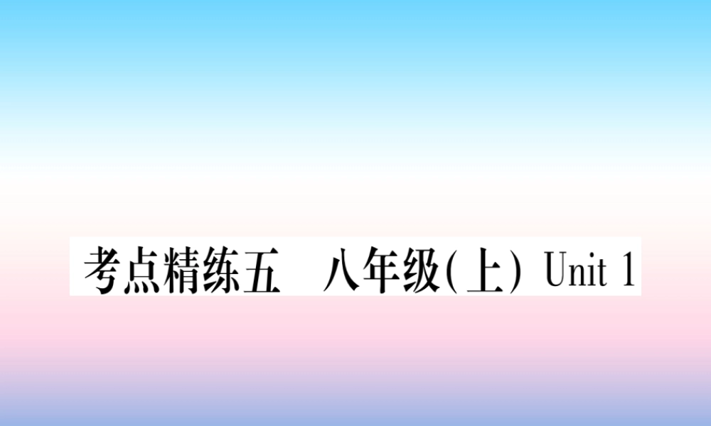 中考英语准点备考 第一部分 教材系统复习 考点精练五 八上 Unit 1课件