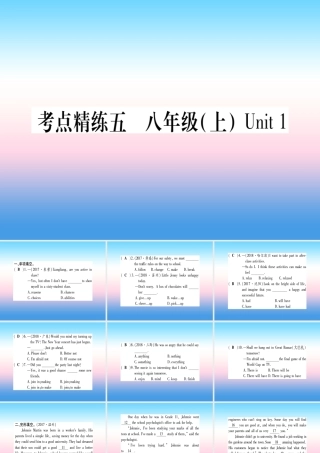 中考英语准点备考 第一部分 教材系统复习 考点精练五 八上 Unit 1课件