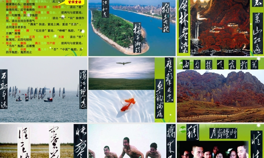 (沁园春·长沙) 试题