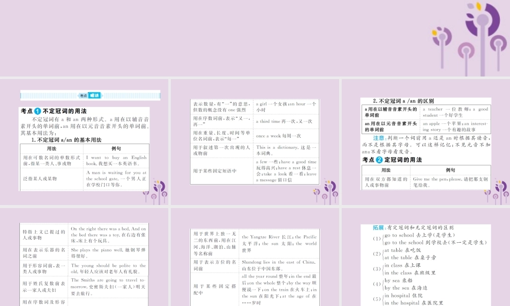 中考英语总复习 第二部分 专项语法 高效突破 专题2 冠词课件