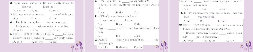 中考英语总复习 第二部分 专项语法 高效突破 专题2 冠词课件