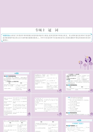 中考英语总复习 第二部分 专项语法 高效突破 专题2 冠词课件