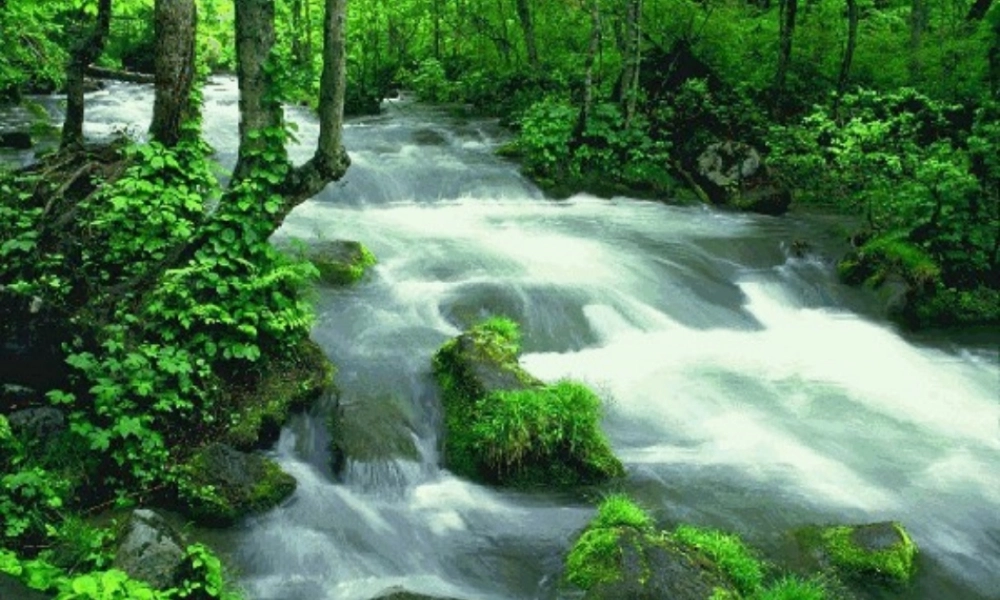 中考语文专题复习 作文之人物心理篇 人教新课标版 课件