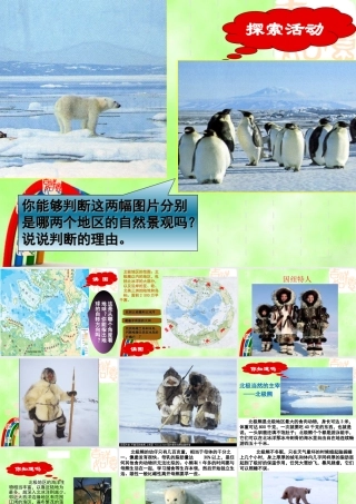 七年级地理下册 极地课件南极与北极的自然环境课件 粤教版 课件