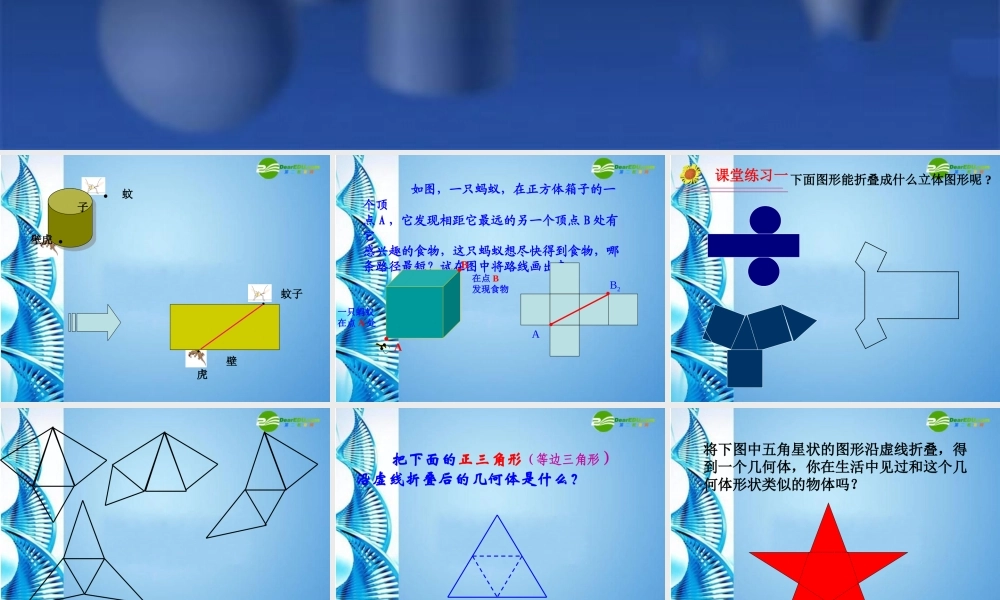 七年级数学上册 展开与折叠课件 苏科版 课件